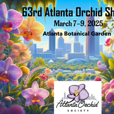 63rd Annual Orchid Show - 