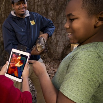 Twilight Trek at the Zoo