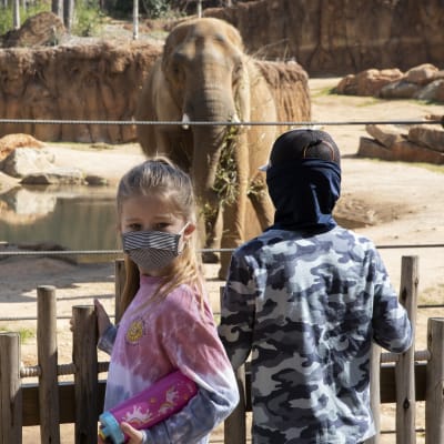 Spring HomeSchool Academy with Zoo Atlanta