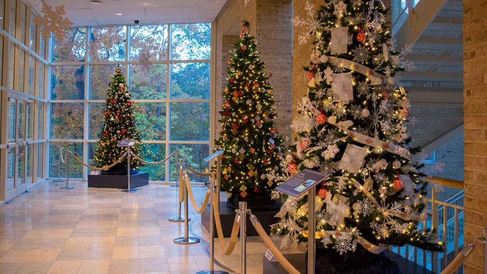 Winter Wonderland at Fernbank