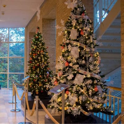 Winter Wonderland at Fernbank